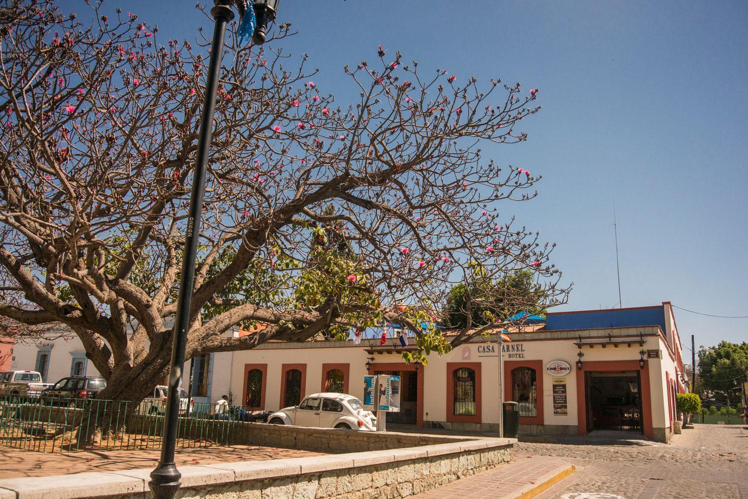 Hotel Casa Arnel Oaxaca Exterior foto